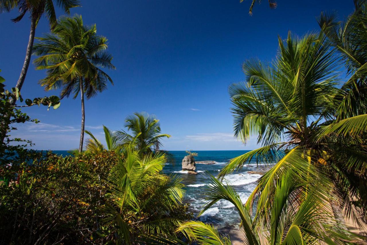 Manzanillo Caribbean Resort Puerto Viejo de Talamanca Ngoại thất bức ảnh