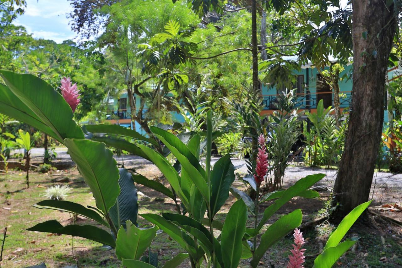 Manzanillo Caribbean Resort Puerto Viejo de Talamanca Ngoại thất bức ảnh